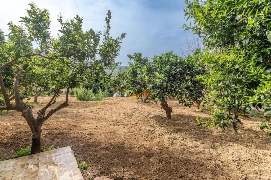 Citrea Stylish House With Garden Near Beach Heraklion Exteriör bild